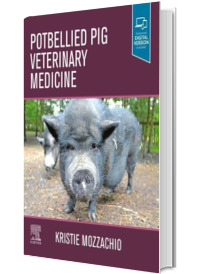 Potbellied Pig Veterinary Medicine