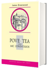 Povestea unui mic zdrentaros - Biblioteca pentru toti copiii