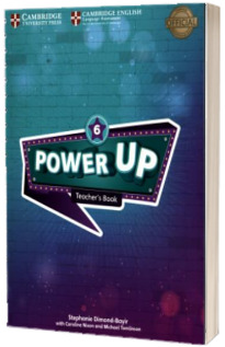 Power Up Level 6. Teachers Book