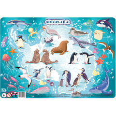 Puzzle cu rama - Antarctica (53 piese)