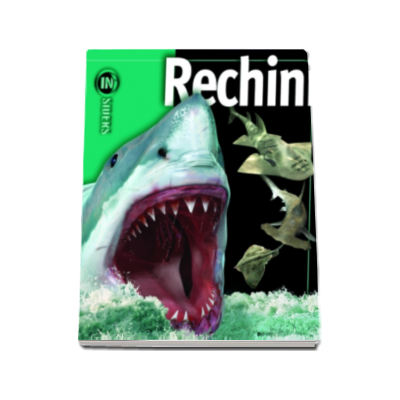 Rechini. Enciclopedie - Insiders