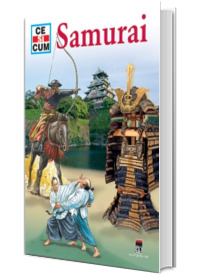 Samurai - Ce si cum