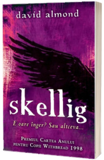 Skellig. E oare inger? Sau altceva