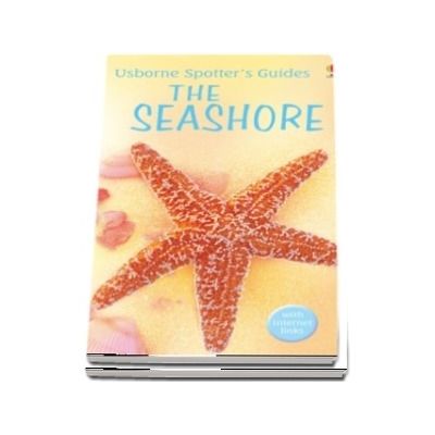 Spotters Guides: Seashore