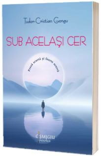 Sub acelasi cer