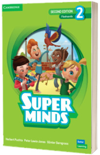 Super Minds Level 2. Flashcards British English (2nd Edition)