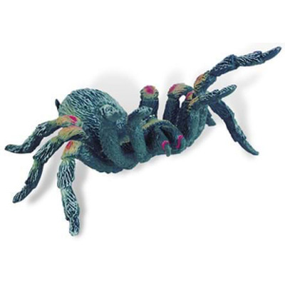 Tarantula