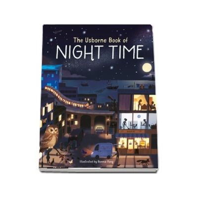 The Usborne book of night time