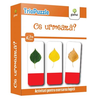 TrioPuzzle. Ce urmeaza?