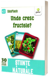 Unde cresc fructele? - Stiinte naturale (Contine 30 flashcarduri)